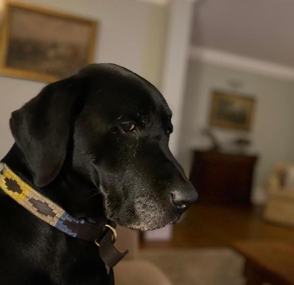 Bed and Breakfast Chadwell Hill Farm