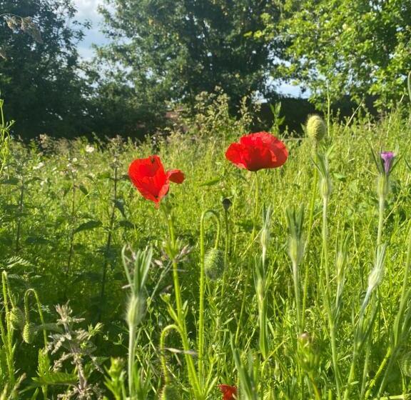 Bed and Breakfast Chadwell Hill Farm