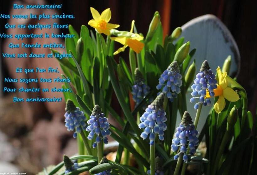 Bed and Breakfast Ekorregården