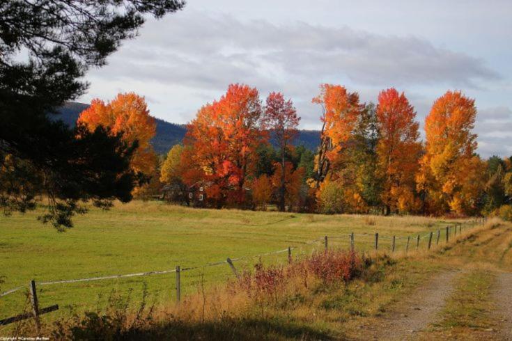 Bed and Breakfast Ekorregården