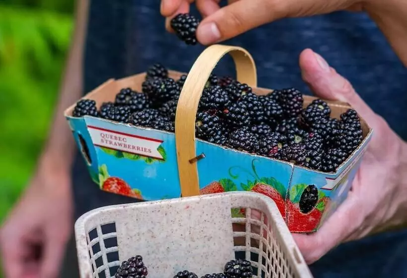 Gite O Bordeleau B&b