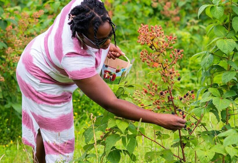 Gite O Bordeleau B&b