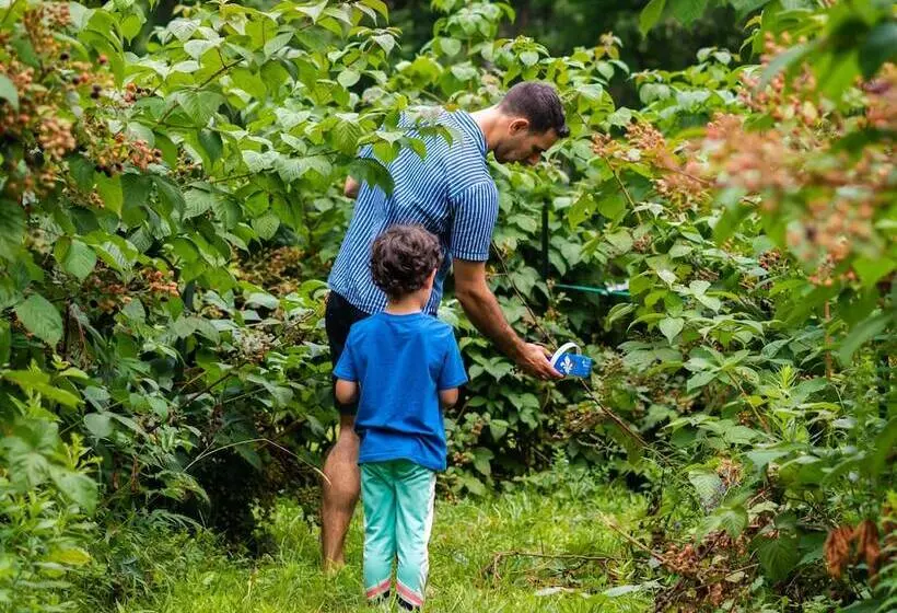 Gite O Bordeleau B&b