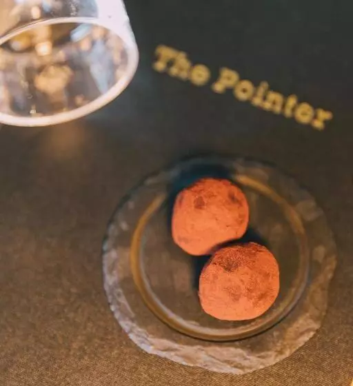 Aamiaismajoitus (B&B) The Pointer