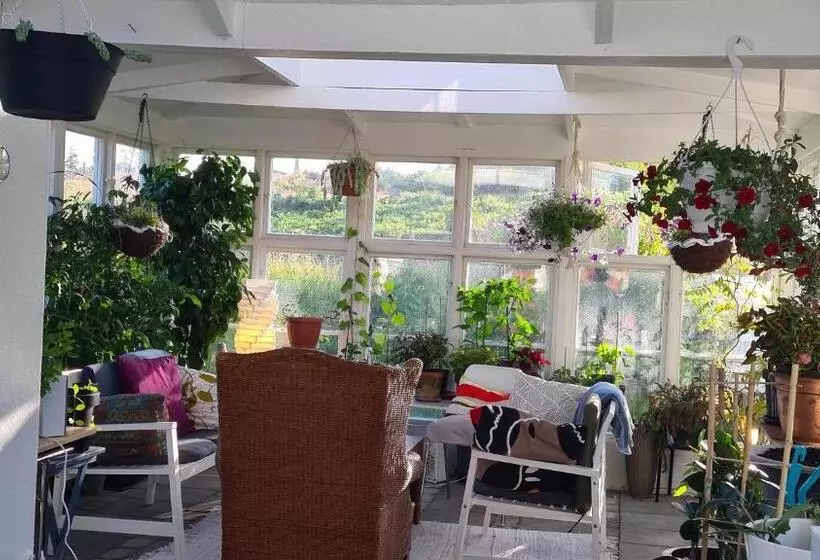 Aamiaismajoitus (B&B) Villa Luna Breakfast