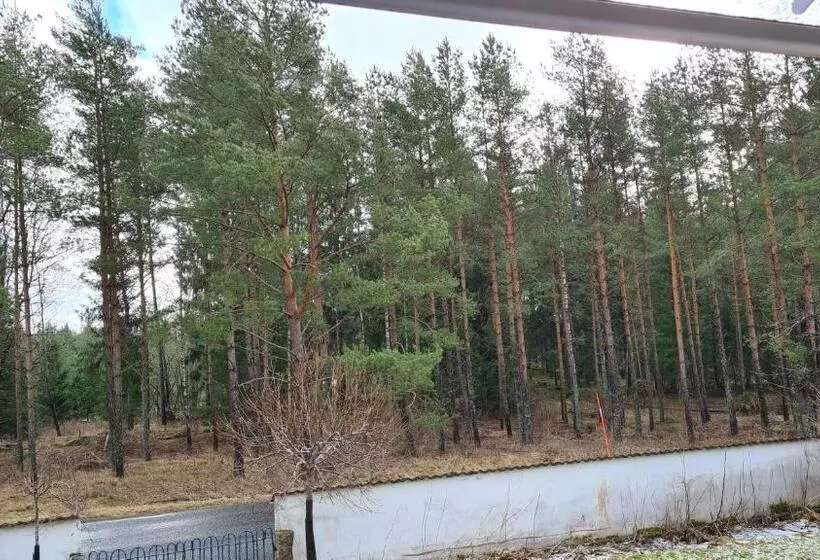 Aamiaismajoitus (B&B) Villa Luna Breakfast