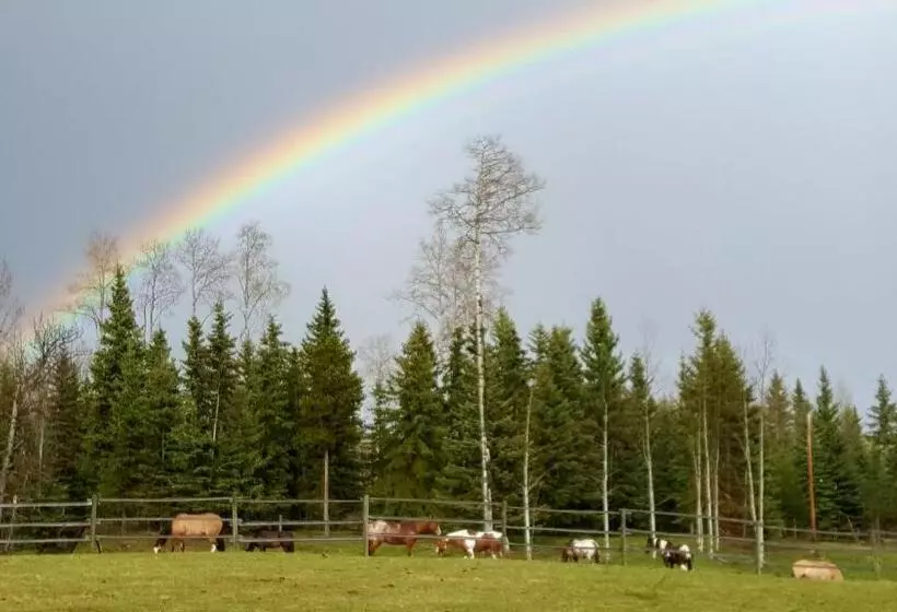 Aamiaismajoitus (B&B) Wettstone Guest Ranch