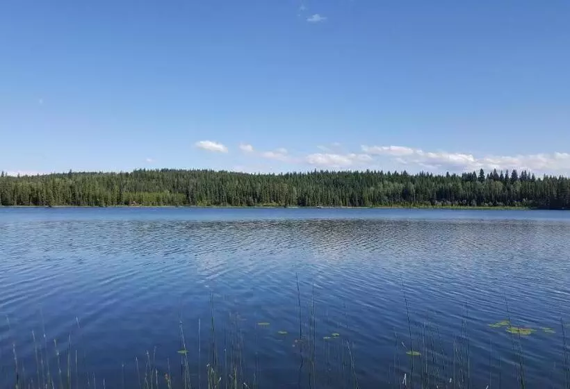 Aamiaismajoitus (B&B) Wettstone Guest Ranch