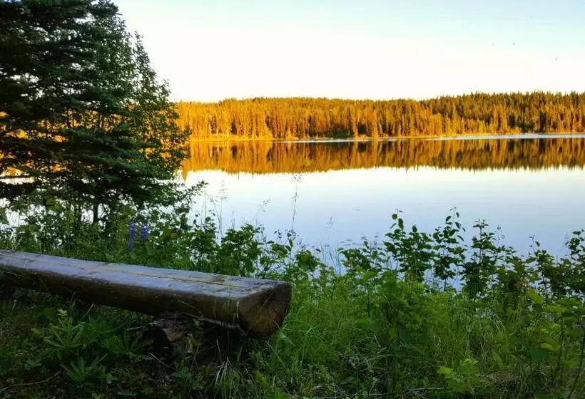 Aamiaismajoitus (B&B) Wettstone Guest Ranch