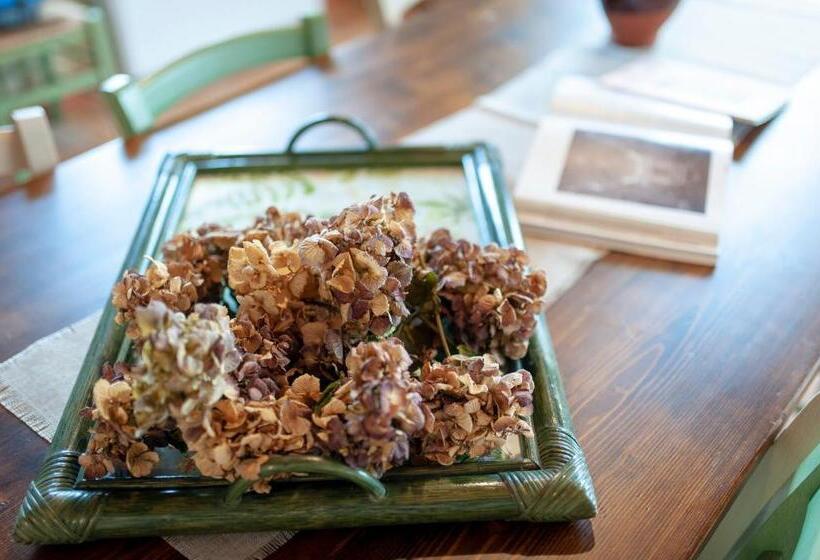 בית מלון כפרי Agriturismo Casa Vecchia