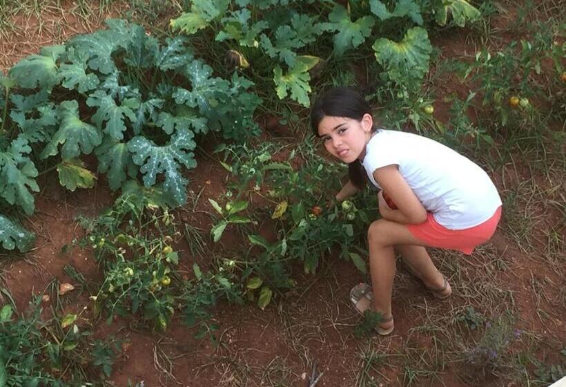 Отель Agriturismo Salento D'arare