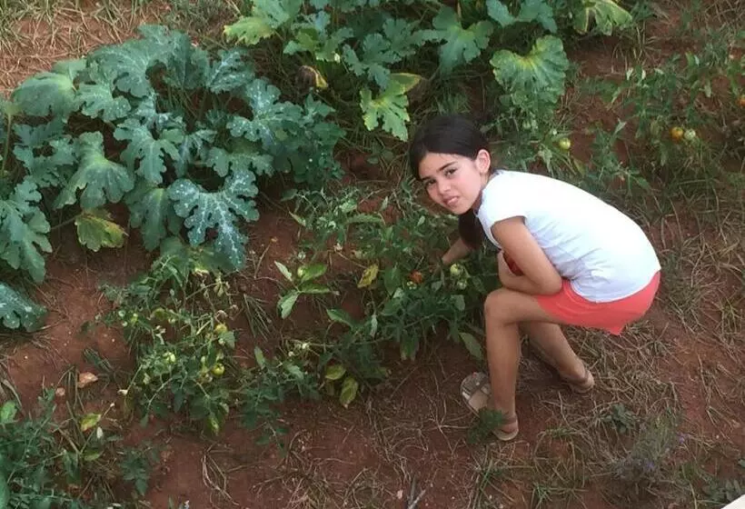 ホテル Agriturismo Salento D'arare