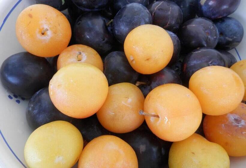 Отель Agriturismo Salento D'arare