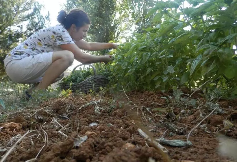 ホテル Agriturismo Salento D'arare