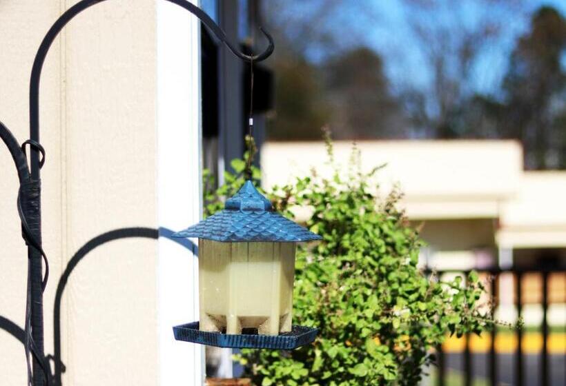 Motel Royal Inn   North Augusta   Home Of The Masters   Augusta Downtown