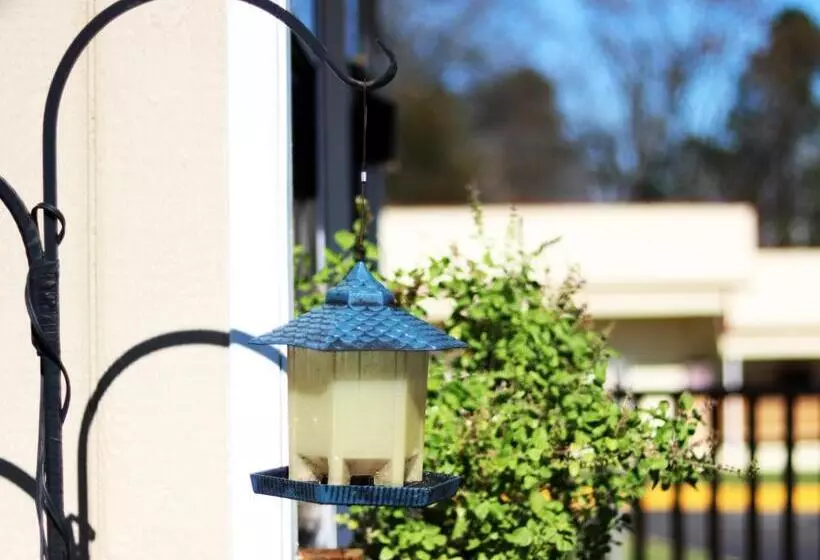 Motelli Royal Inn   North Augusta   Home Of The Masters   Augusta Downtown