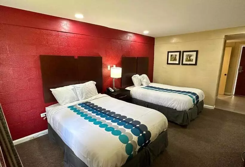 Motelli Royal Inn   North Augusta   Home Of The Masters   Augusta Downtown