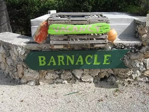 The Barnacle B&b