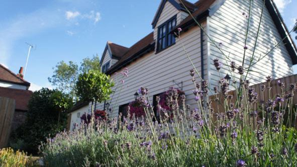 ユースホステル The Bull At Great Totham Limited