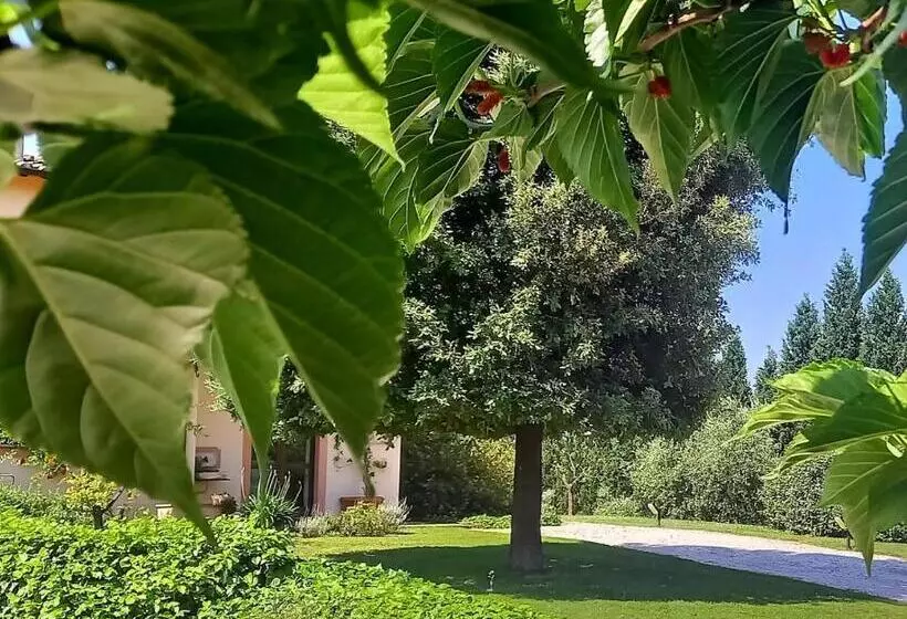 Aamiaismajoitus (B&B) Agrifoglio