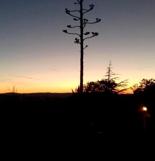 住宿加早餐 Agrifoglio