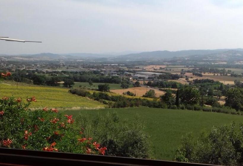 住宿加早餐 Agrifoglio