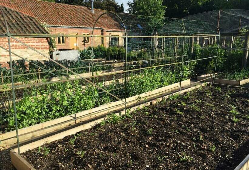 住宿加早餐  Chippenham Park Garden Rooms