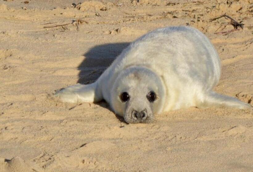 住宿加早餐  Cotenham Barn