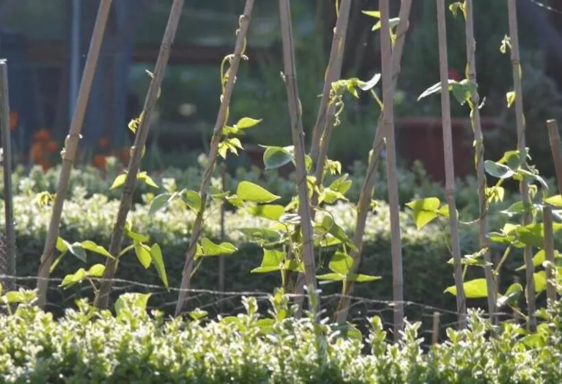 Aamiaismajoitus (B&B) Cotenham Barn