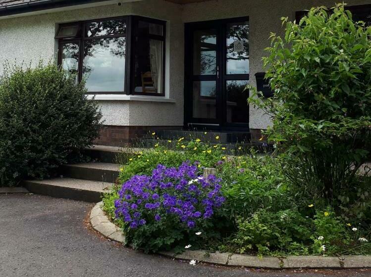 ベッドアンドブレックファースト Dewhamill