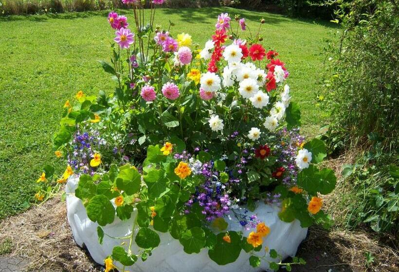 ベッドアンドブレックファースト Dewhamill