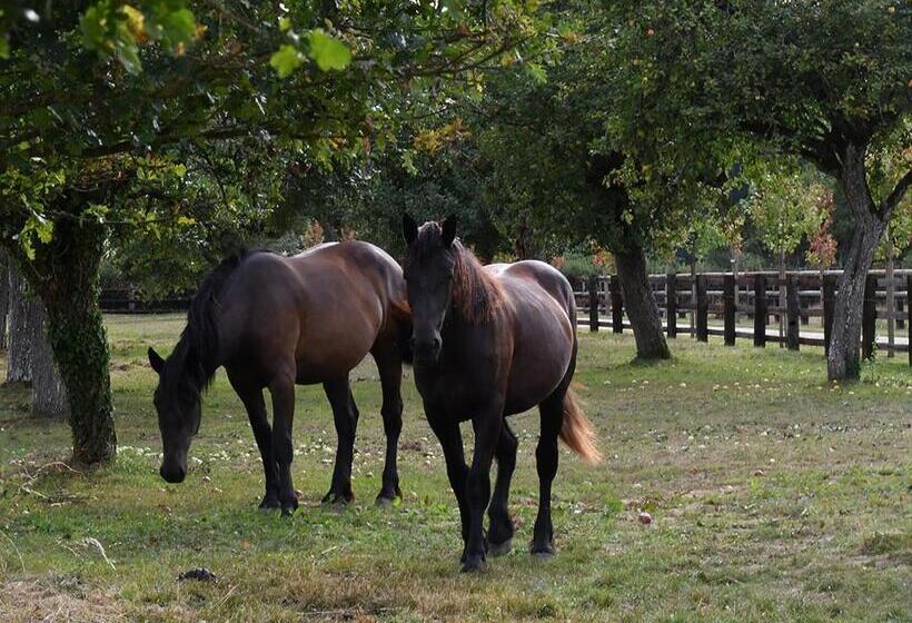 צימר Domaine De La Lochetière Chambres D'hôtes