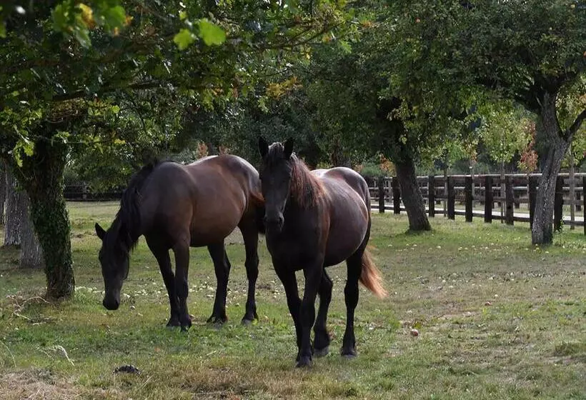 Aamiaismajoitus (B&B) Domaine De La Lochetière Chambres D'hôtes