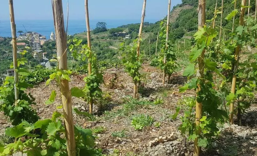 Aamiaismajoitus (B&B) Il Soppalco