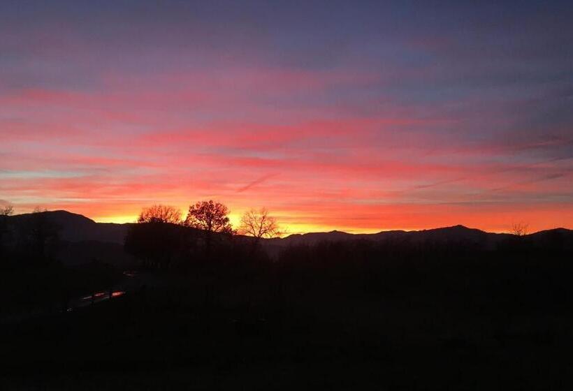 호텔 Agriturismo Il Filare