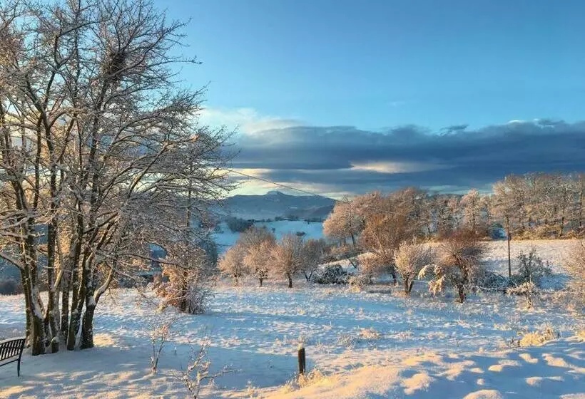 Hotelli Agriturismo Il Filare