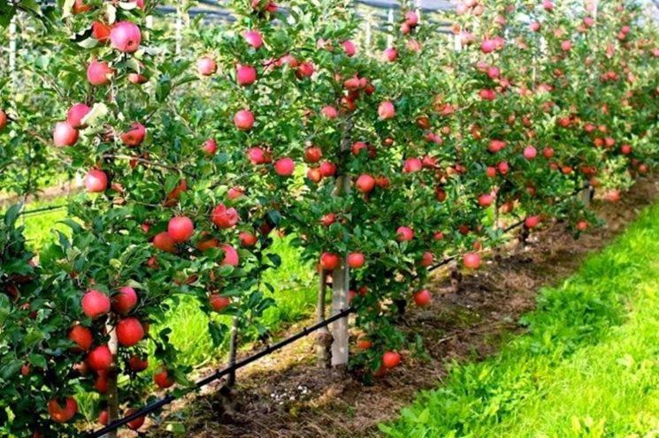 בית מלון כפרי Agriturismo Valpagliaro