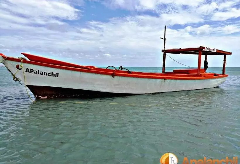 ホテル Apalanchii Hospedaje Y Restaurante