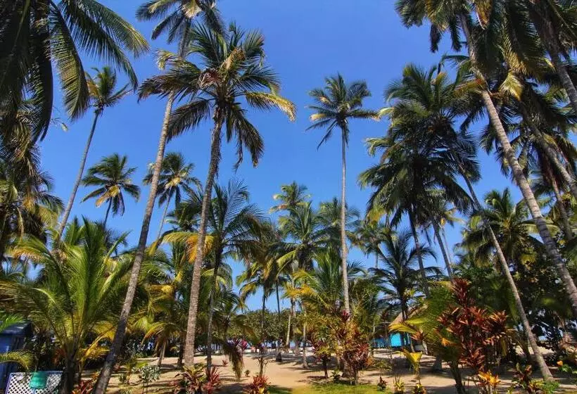 ホテル Blue Mango Beach