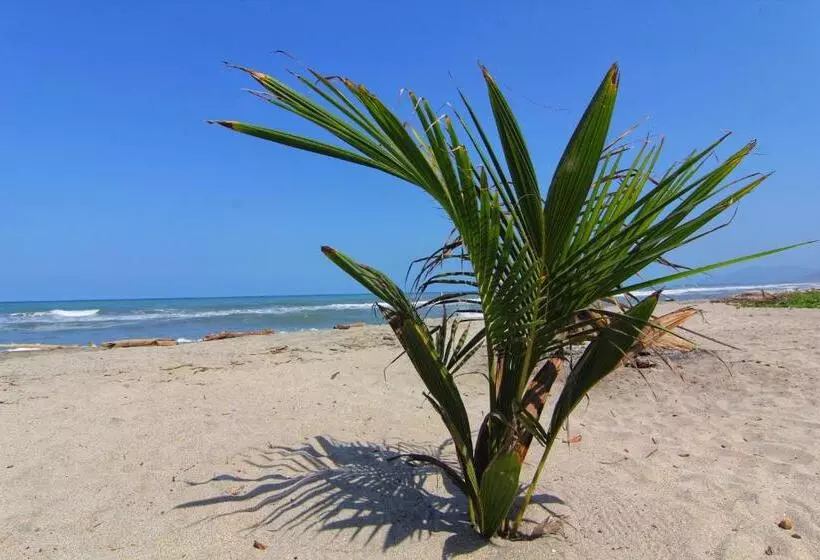 ホテル Blue Mango Beach