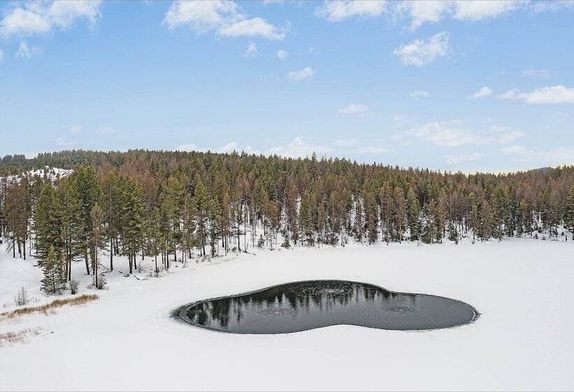 ホテル Diamond Belle Guest Ranch