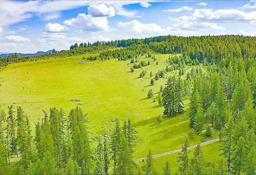 Hotelli Diamond Belle Guest Ranch