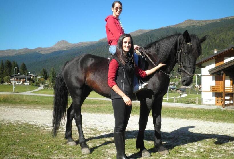 Hotel D La Varda Di Topran D Agata Paolo &c Sas