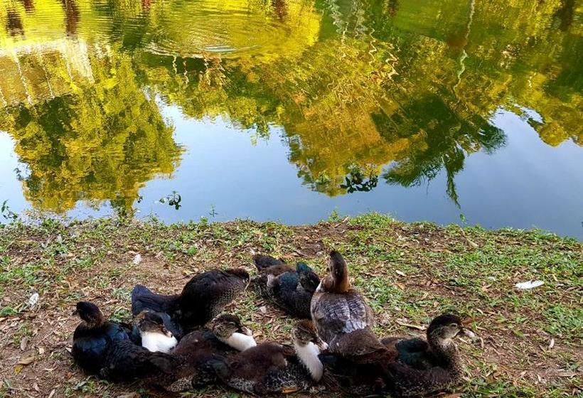 בית מלון כפרי Fazenda Vale Dos Gansos