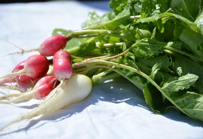 酒店 Hueber Der Wirt