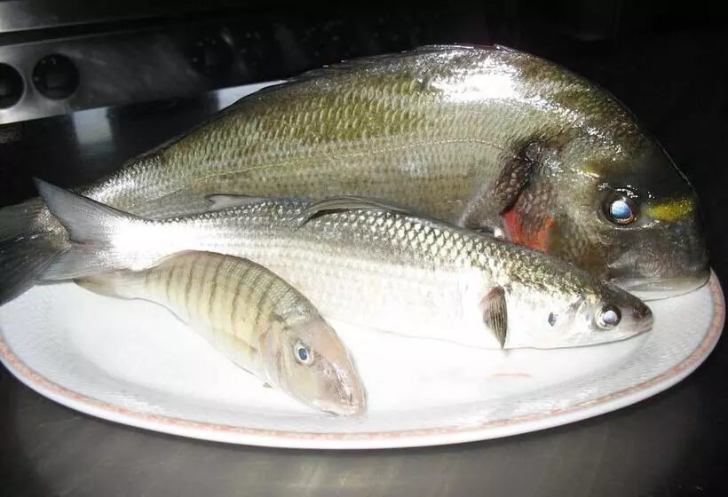 ホテル Sardus Pater