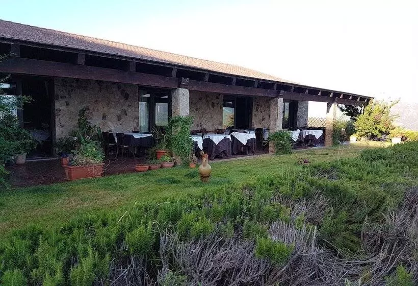 ホテル Sardus Pater