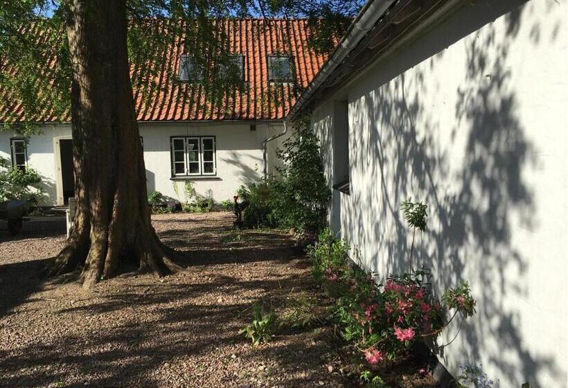 Hørhaven B&b