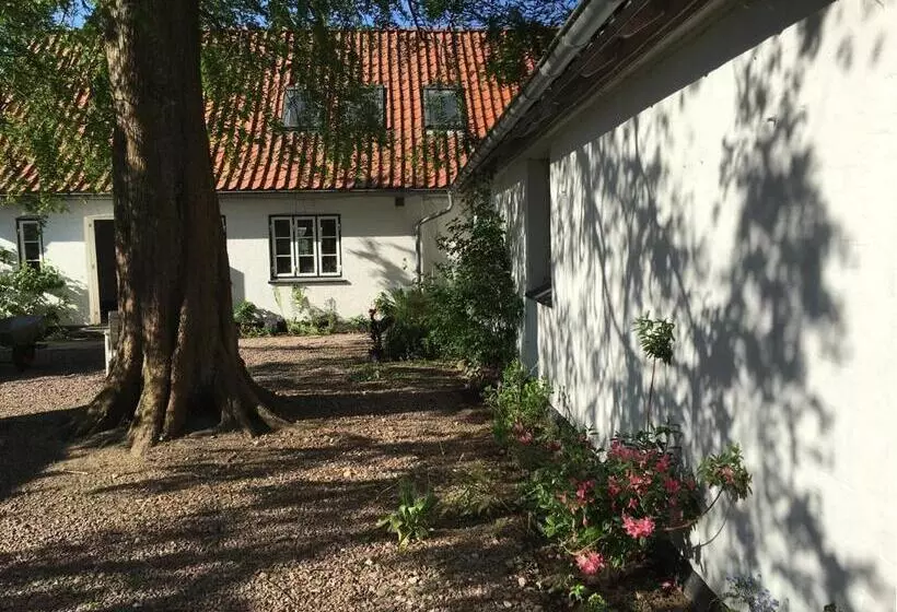 Hørhaven B&b