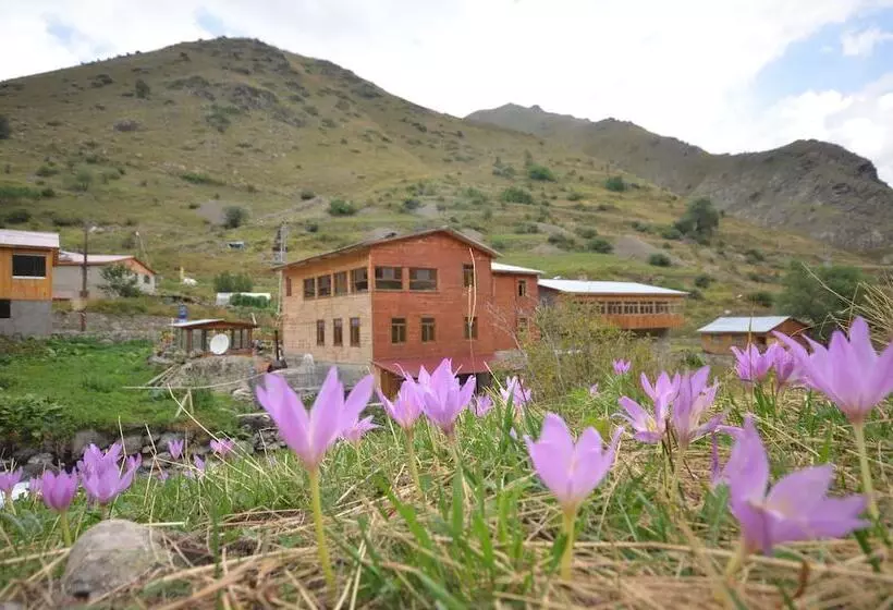 Kackar Pension